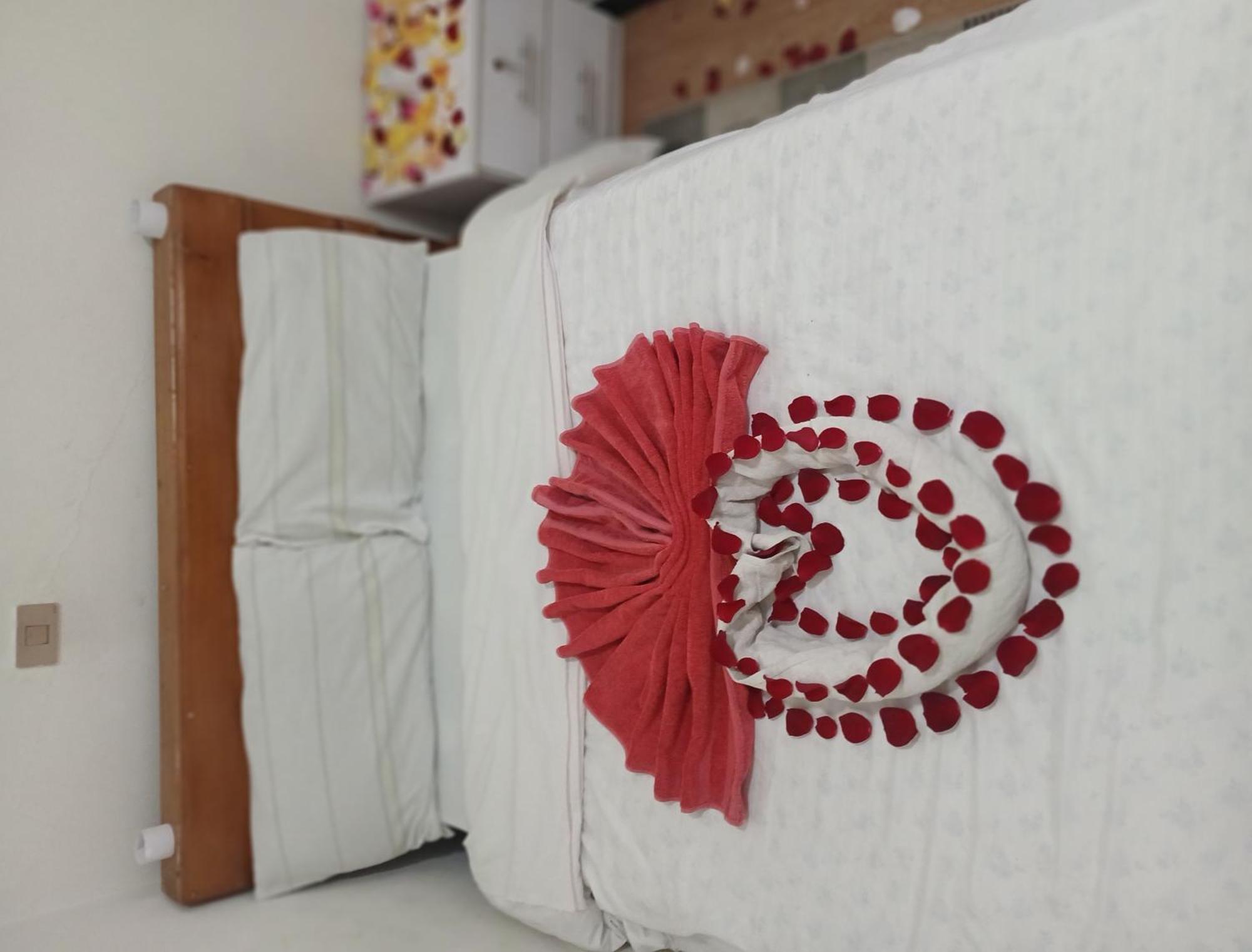 Addis Guest House מראה חיצוני תמונה